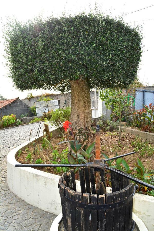 Gasthaus Casa Rebelo Cossourado  Exterior foto